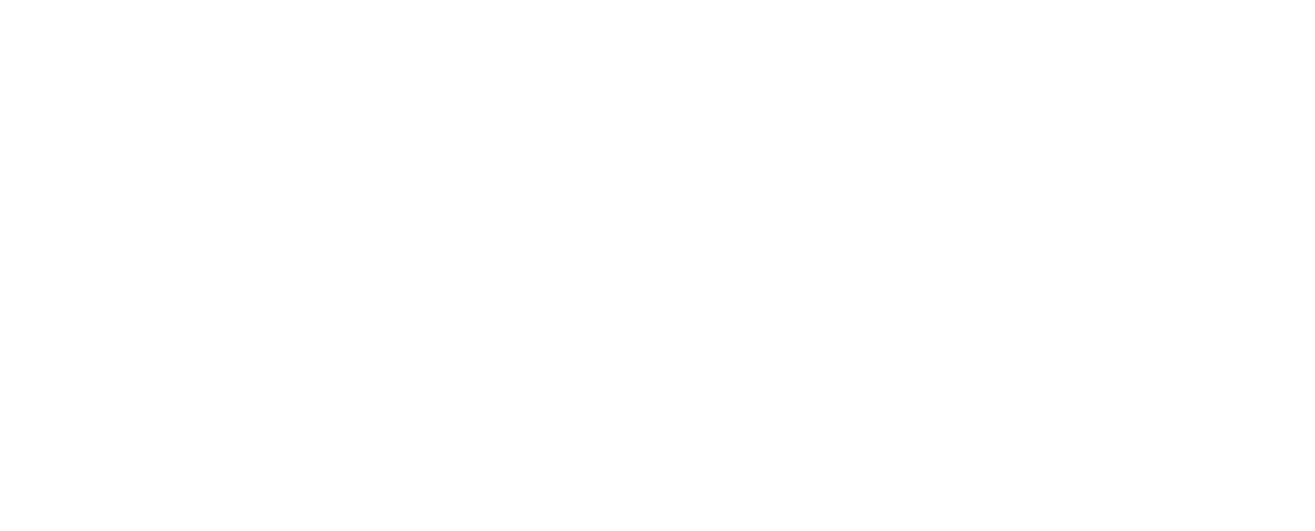 BloisConstruction